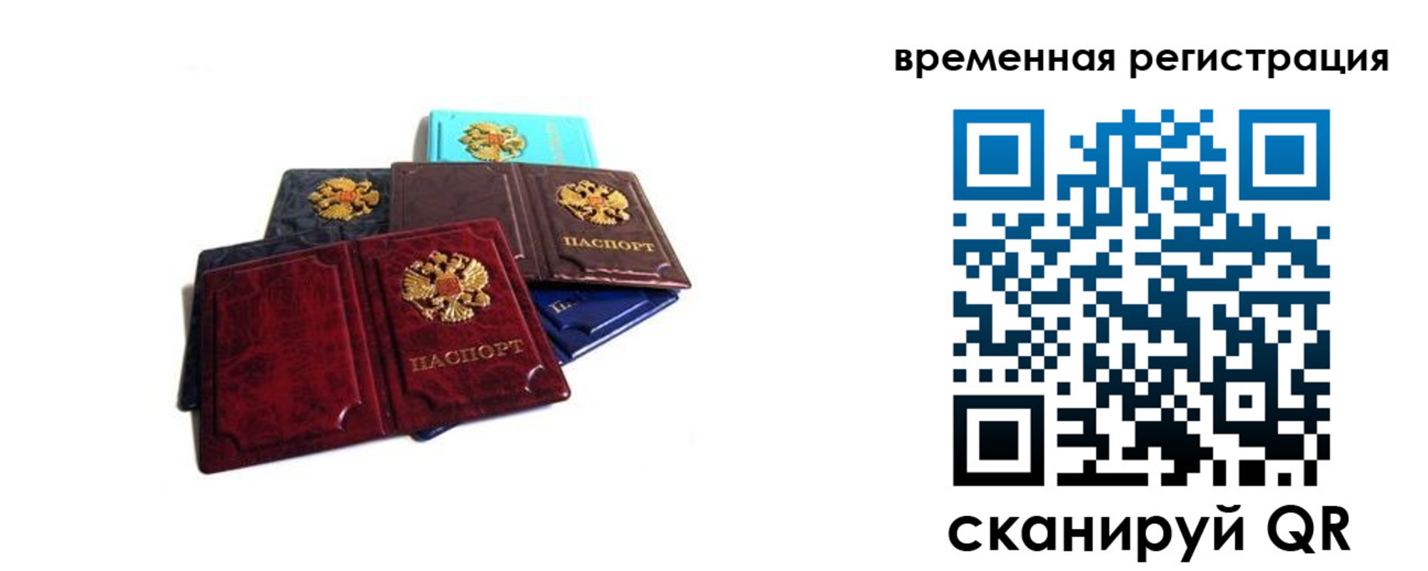 прописка гарантия в Исилькуле